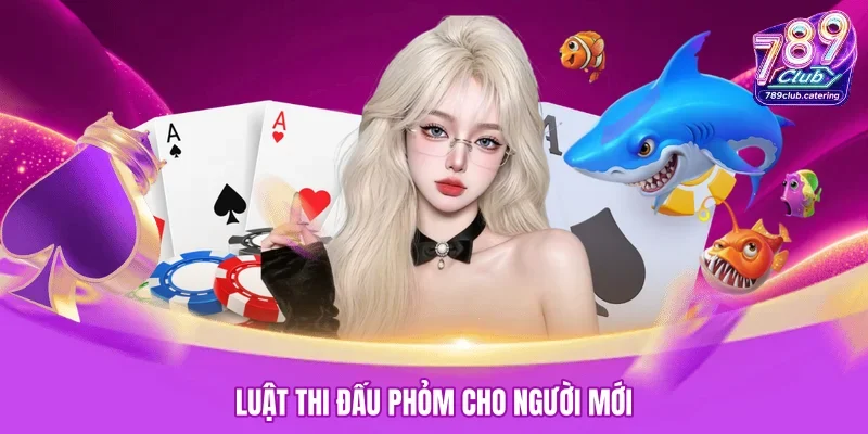 Luật thi đấu Phỏm cho người mới